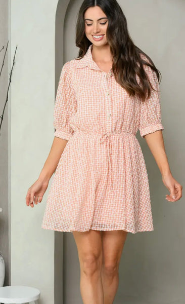3/4 Sleeve Check Dress